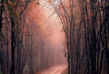 西班牙人队近期有哪些关键动态？阵容、赛事与引援都有新变化？